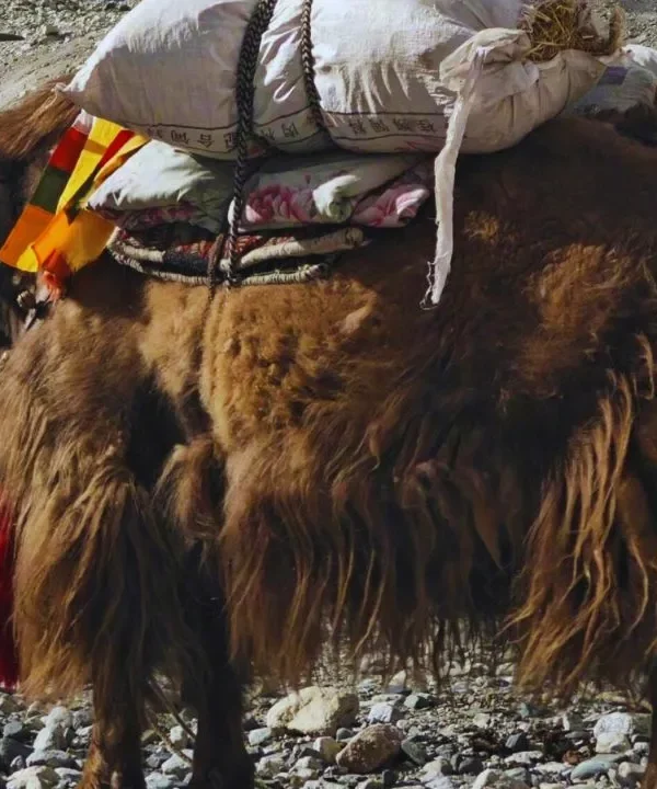 珠穆朗玛峰地区