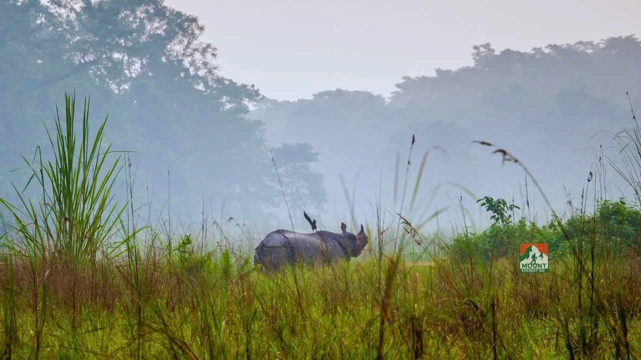 Читван Непал